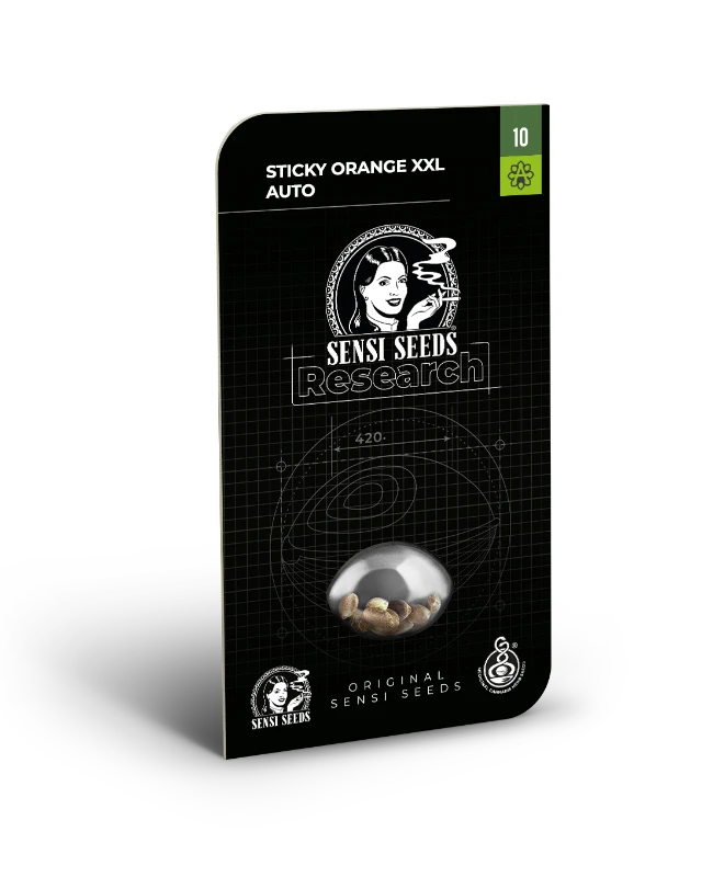 Auto Sticky Orange XXL (Feminisiert) Sensi Seeds
