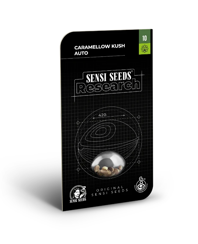 Auto Caramellow Kush (Feminisiert) Sensi Seeds