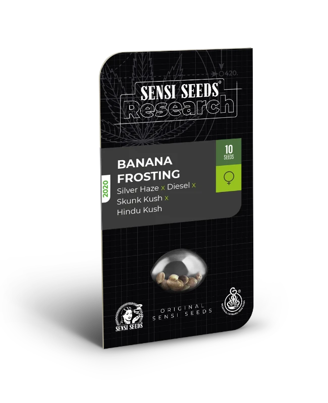 Banana Frosting Feminisiert Sensi Seeds