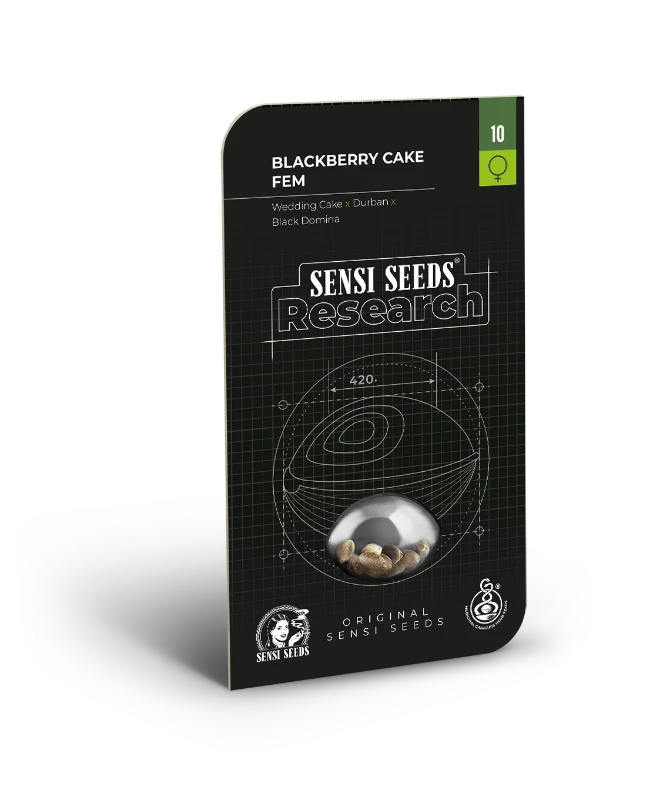 Blackberry Cake Feminisiert Sensi Seeds