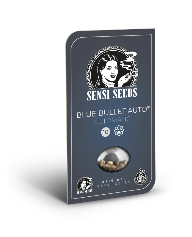 Auto Blue Bullet (Feminisiert) Sensi Seeds