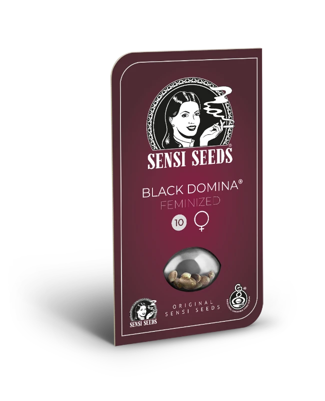 Black Domina Feminisiert Sensi Seeds
