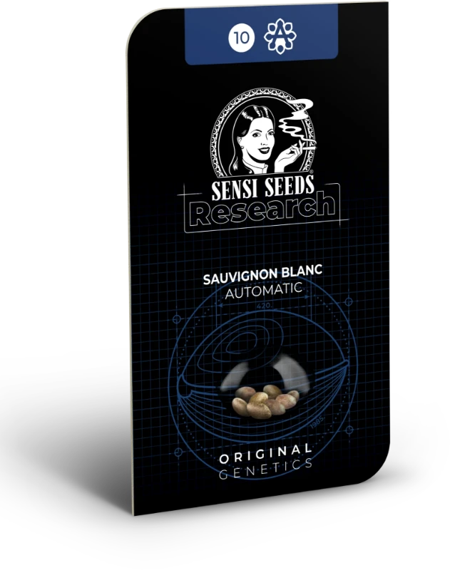 Auto Sauvignon Blanc (Feminisiert) Sensi Seeds