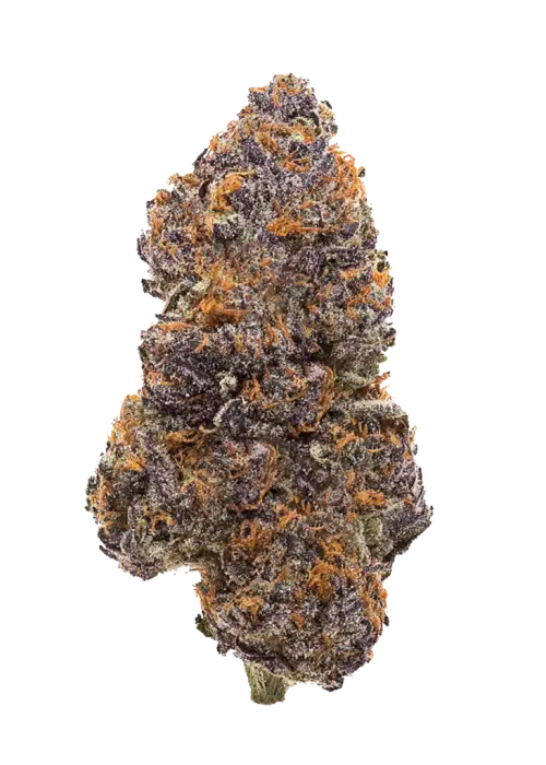 Mystik Marker (Permanent Marker x Zangria) Feminisiert Bubbatz Seeds