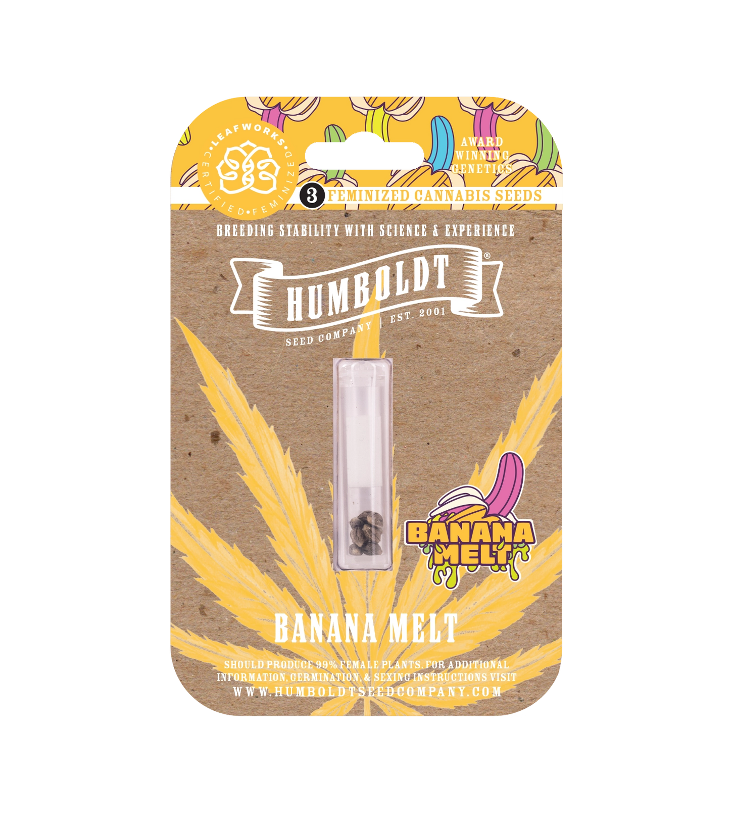 Banana Melt Feminisiert Humboldt Seed Company