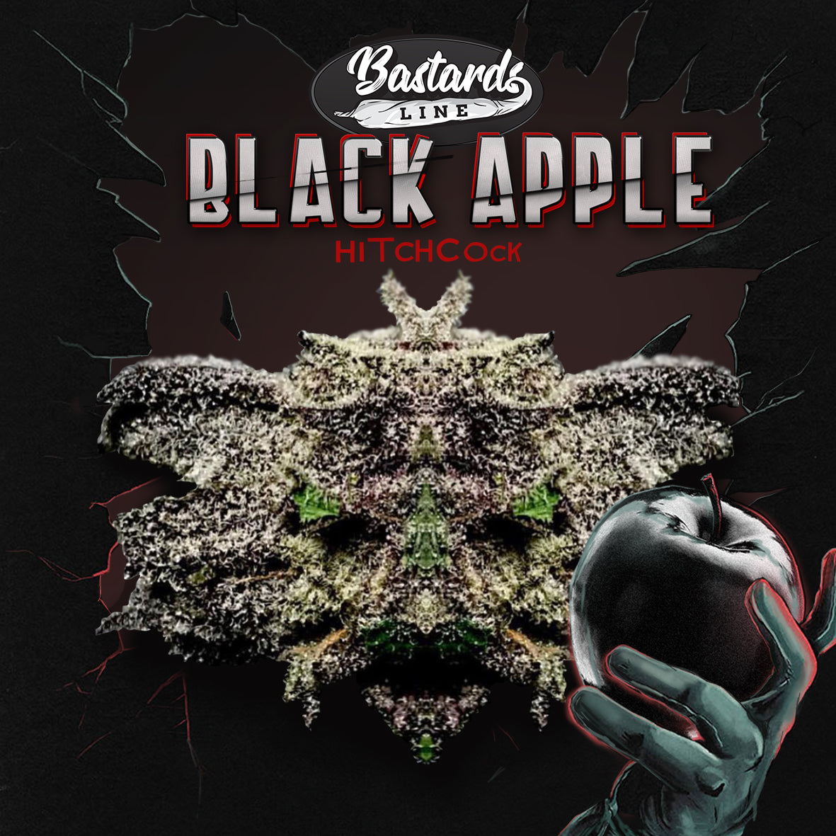 Bastards Line Special: Black Apple Hitchcock Feminisiert T.H.Seeds™