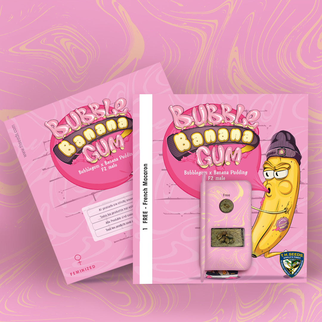 BubbleBananaGum Feminisiert T.H. Seeds™