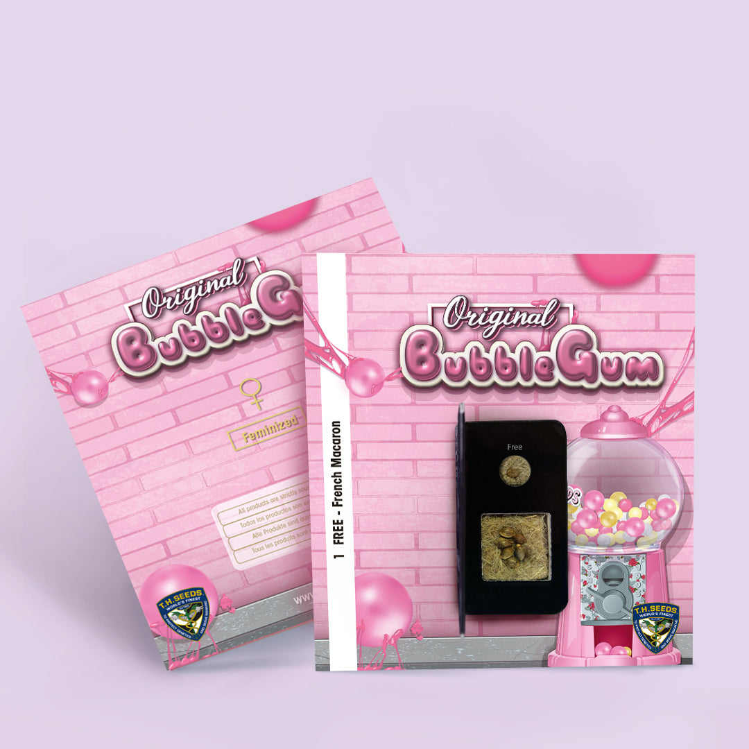 Bubblegum Feminisiert T.H.Seeds™