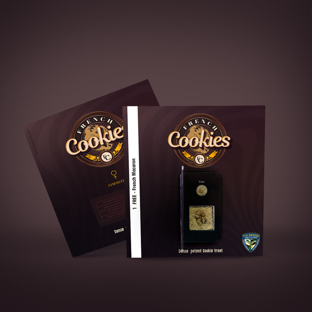French Cookies Feminisiert T.H.Seeds™