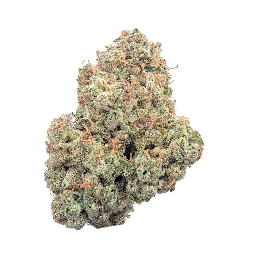 Auto Pineapple Daddy (Feminisiert) Happy Valley Genetics