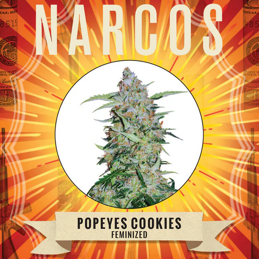 Popeye's Cookies Feminisiert Narcos Seeds
