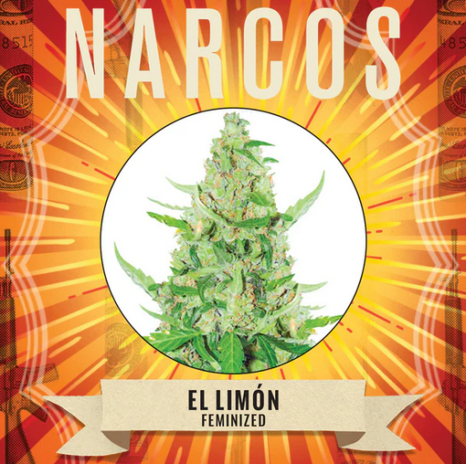El Limón Feminisiert Narcos Seeds