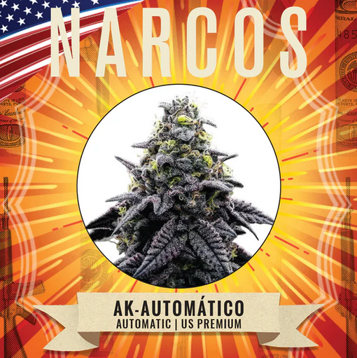 Auto AK-Automático (Feminisiert) US Premium Narcos Seeds
