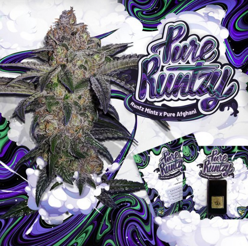 Pure Runtzy Feminisiert T.H.Seeds™