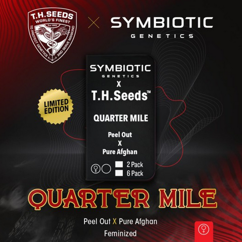 Quarter Mile Limited Symbiotic Genetics Drop Feminisiert T.H.Seeds™