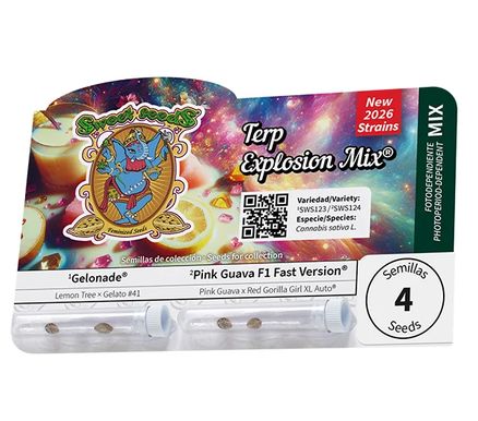Terp Explosion Mix® Feminisiert Sweet Seeds