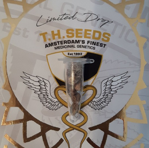 Afghaniberry Limited Drop Regulär T.H.Seeds™