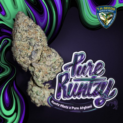 Pure Runtzy Feminisiert T.H.Seeds™