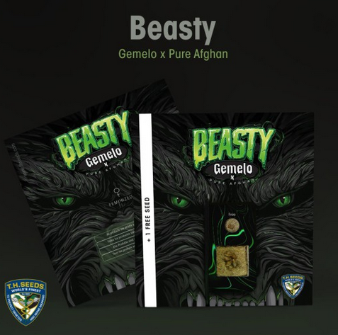 Beasty Feminisiert T.H.Seeds™