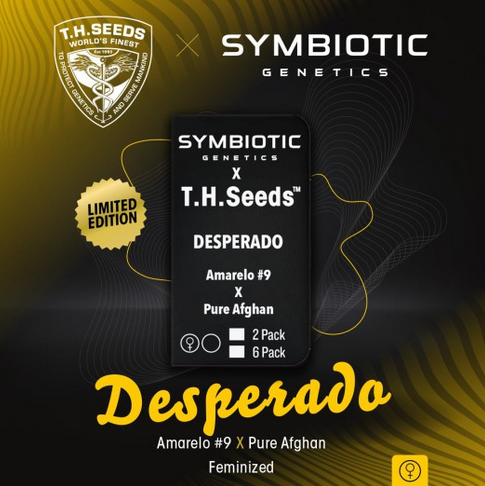 Desperado Limited Symbiotic Genetics Drop Feminisiert T.H.Seeds™