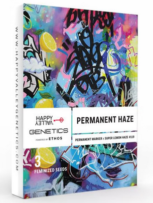 Permanent Haze Feminisiert Happy Valley Genetics