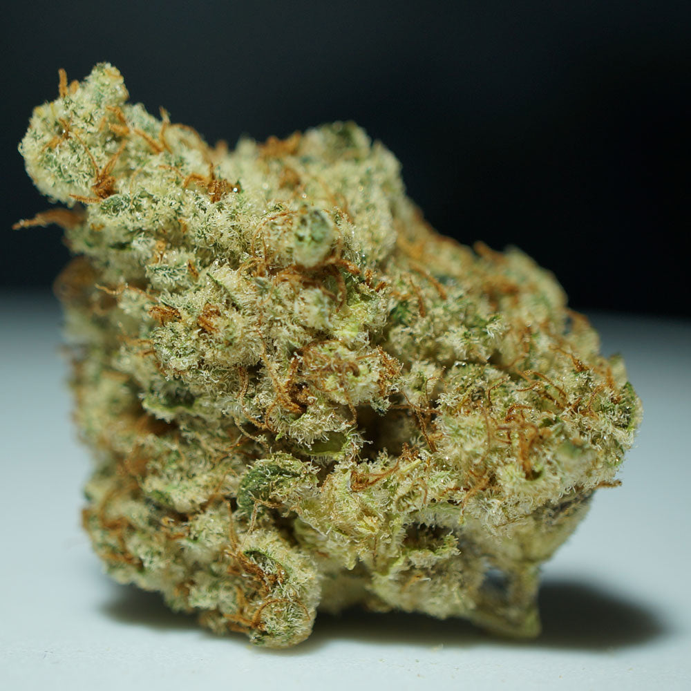 Stracciatella Feminisiert T.H.Seeds™