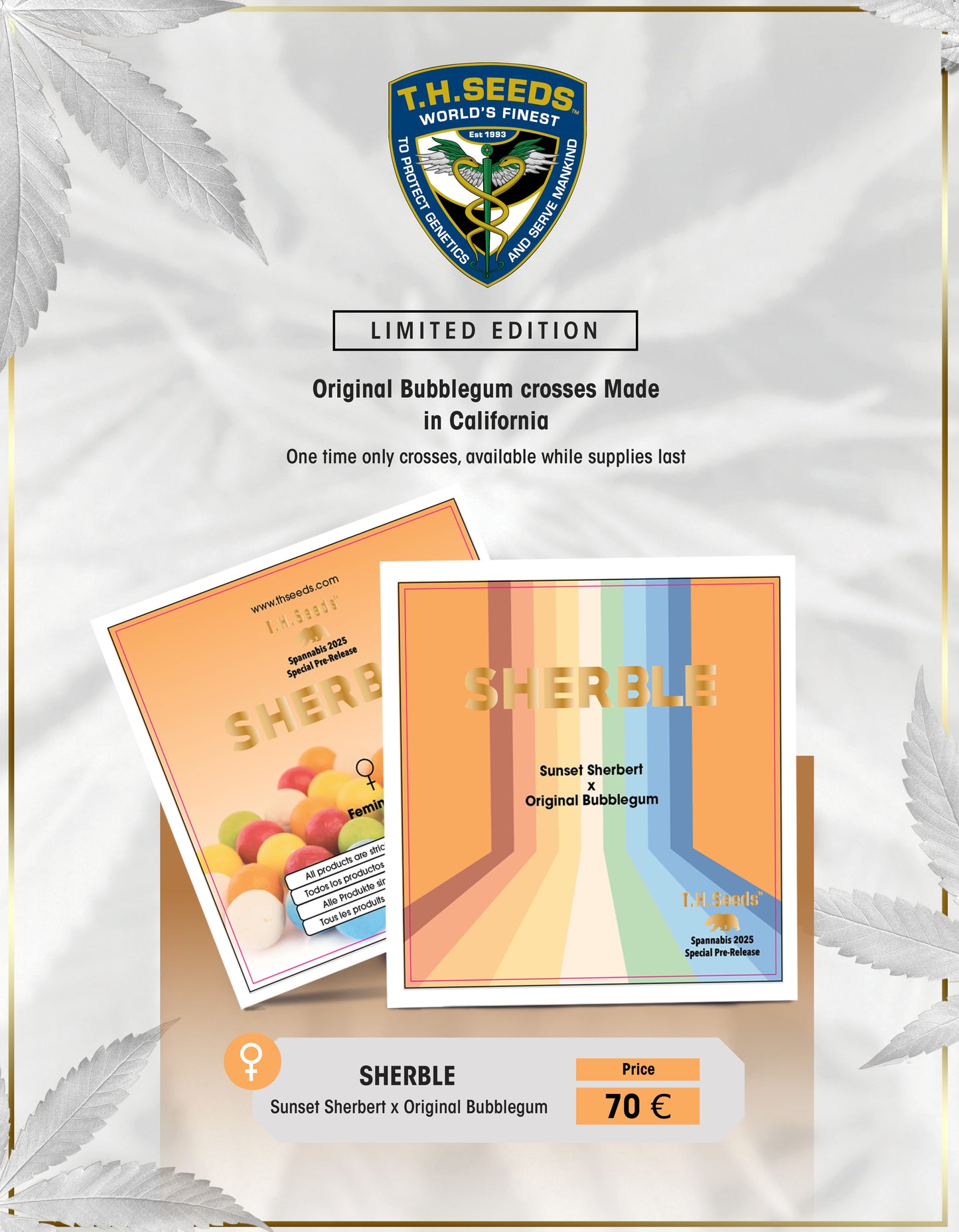 Sherble Feminisiert by T.H.Seeds™