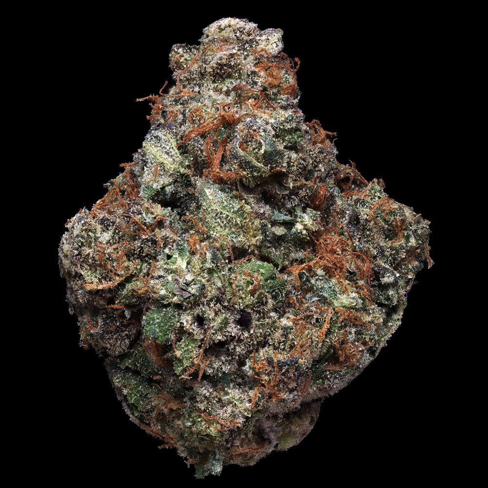 Sherble Feminisiert by T.H.Seeds™