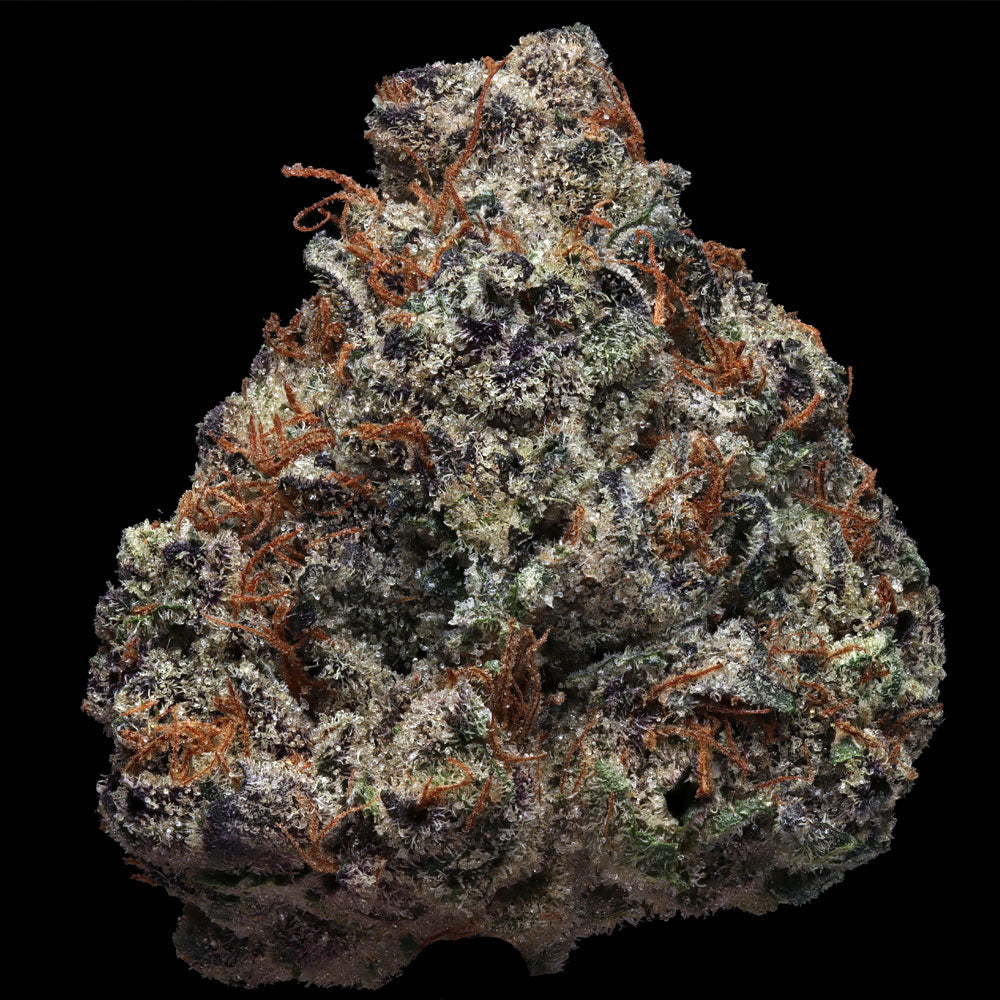 ZourGum Feminisiert by T.H.Seeds™