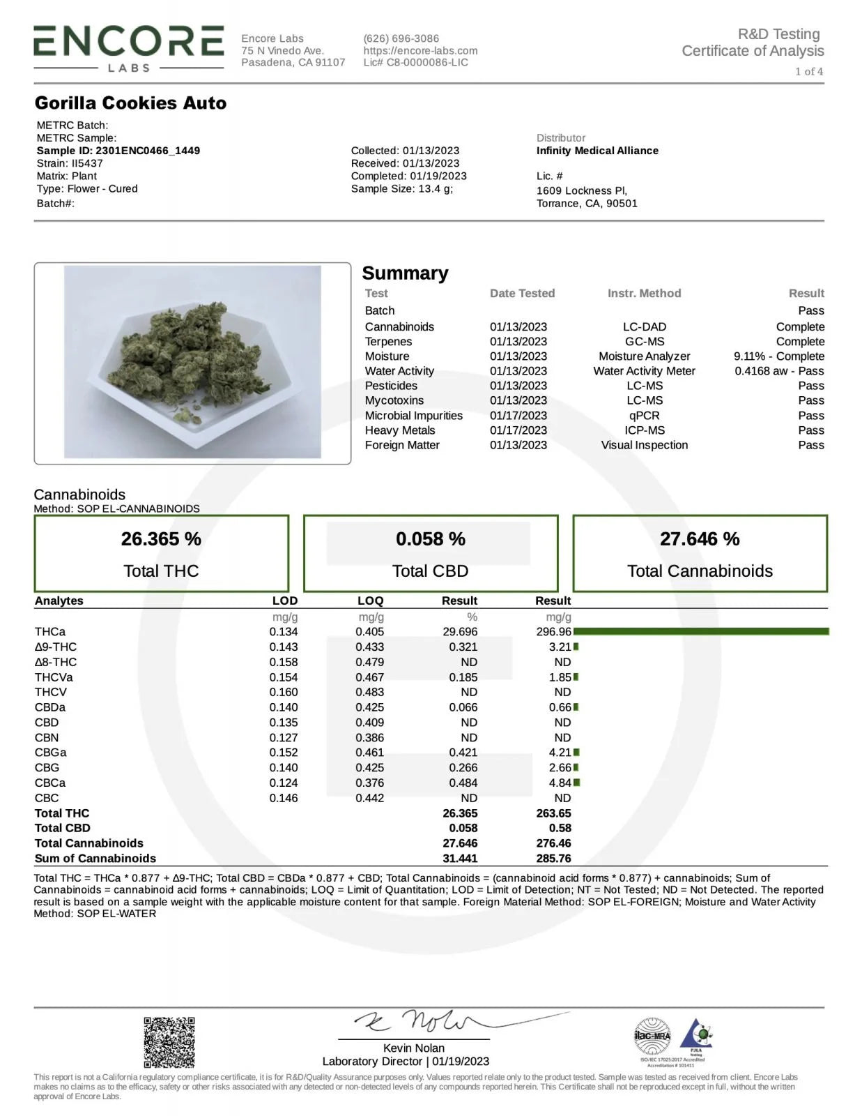 Auto Gorilla Cookies (Feminisiert) Fast Buds