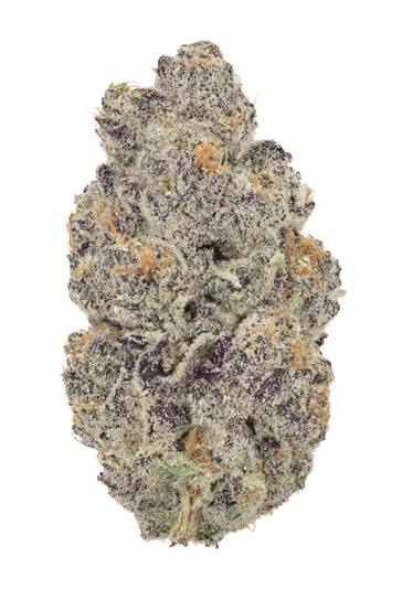 Oreoz Feminisiert Bubbatz Seeds