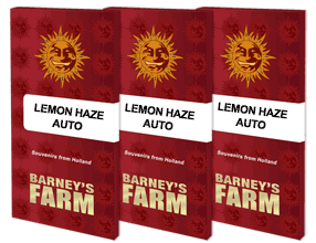 Auto Lemon Haze (Feminisiert) Barney's Farm