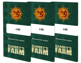 LSD Feminisiert Barney's Farm
