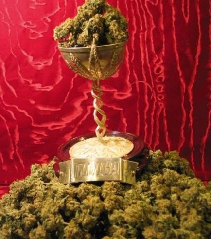 MK-Ultra™ Feminisiert T.H.Seeds™