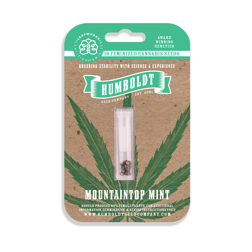 Mountaintop Mint Feminisiert Humboldt Seed Company