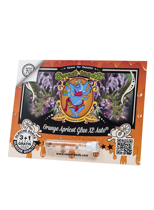 Auto Orange Apricot Glue XL® (Feminisiert) Sweet Seeds