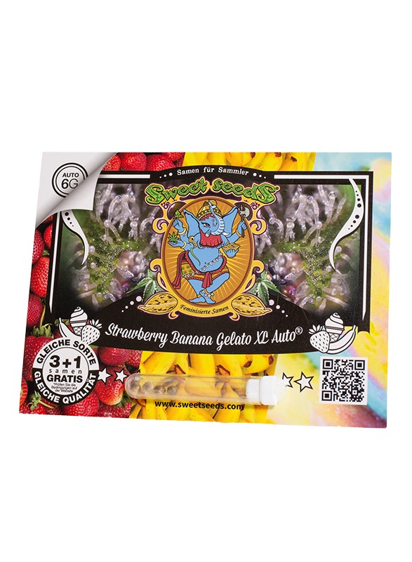 Auto Strawberry Banana Gelato XL® (Feminisiert) Sweet Seeds