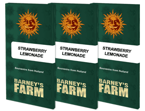 Strawberry Lemonade Barney's Farm