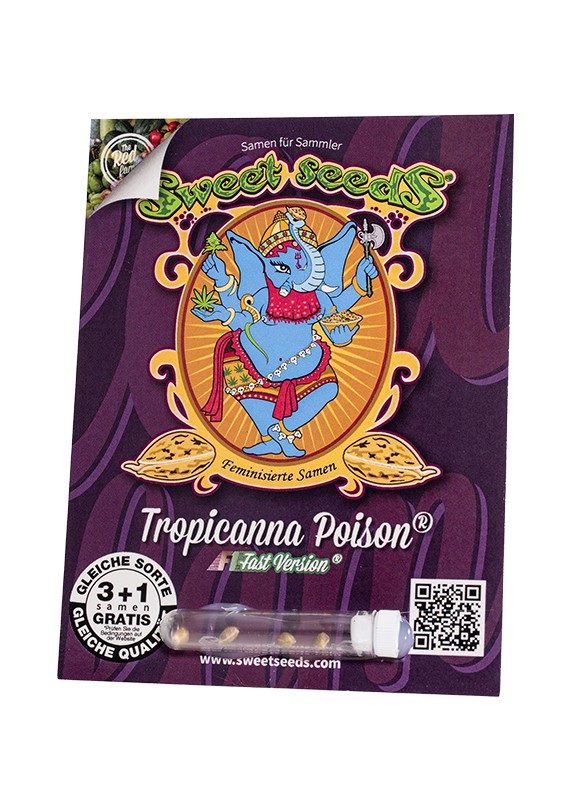 Tropicanna Poison F1 Fast Version® Feminisiert Sweet Seeds