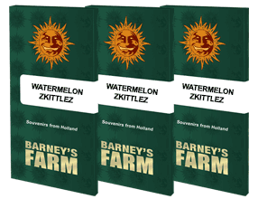 Watermelon Zkittlez Feminisiert Barney's Farm