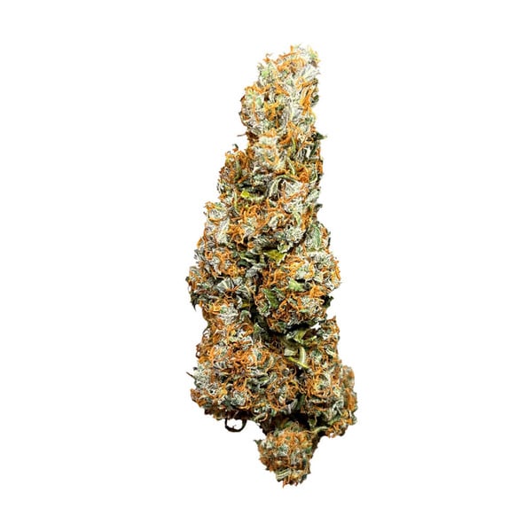Auto Wedding Cake (Feminized) Royal Queen Seeds