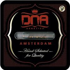DNA Genetics
