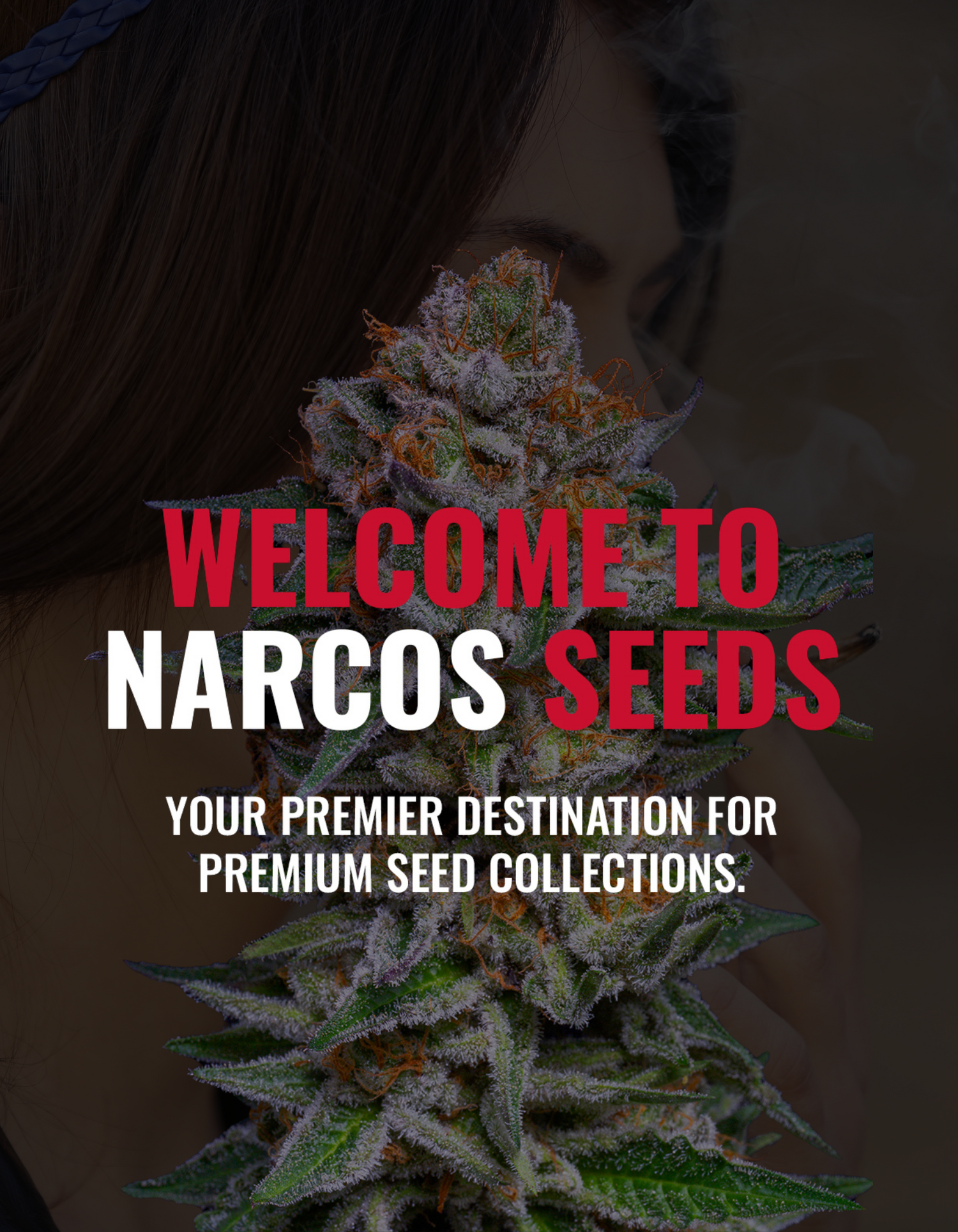 Narcos Seeds