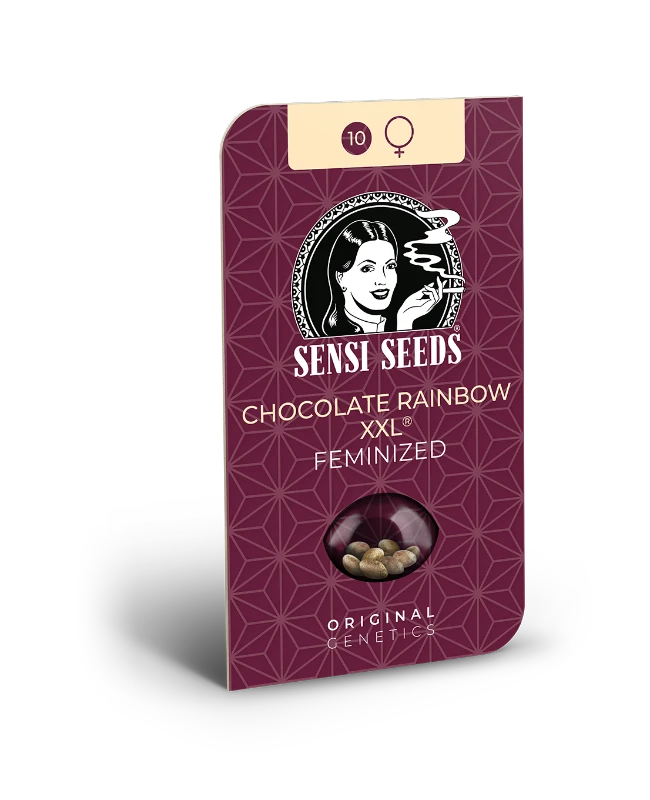 Chocolate Rainbow XXL Feminisiert Sensi Seeds