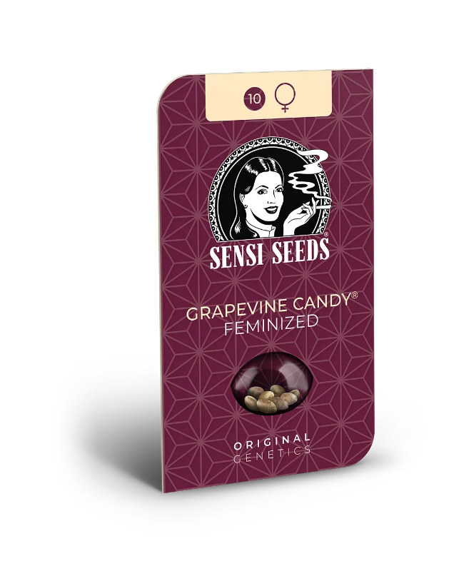 Grapevine Candy Feminisiert Sensi Seeds