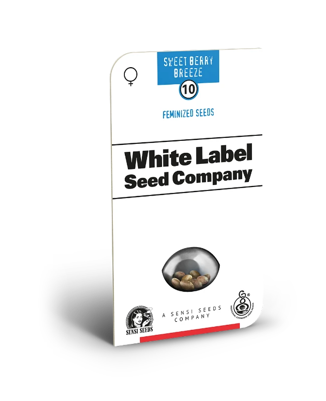 Sweet Berry Breeze Feminisiert Sensi Seeds