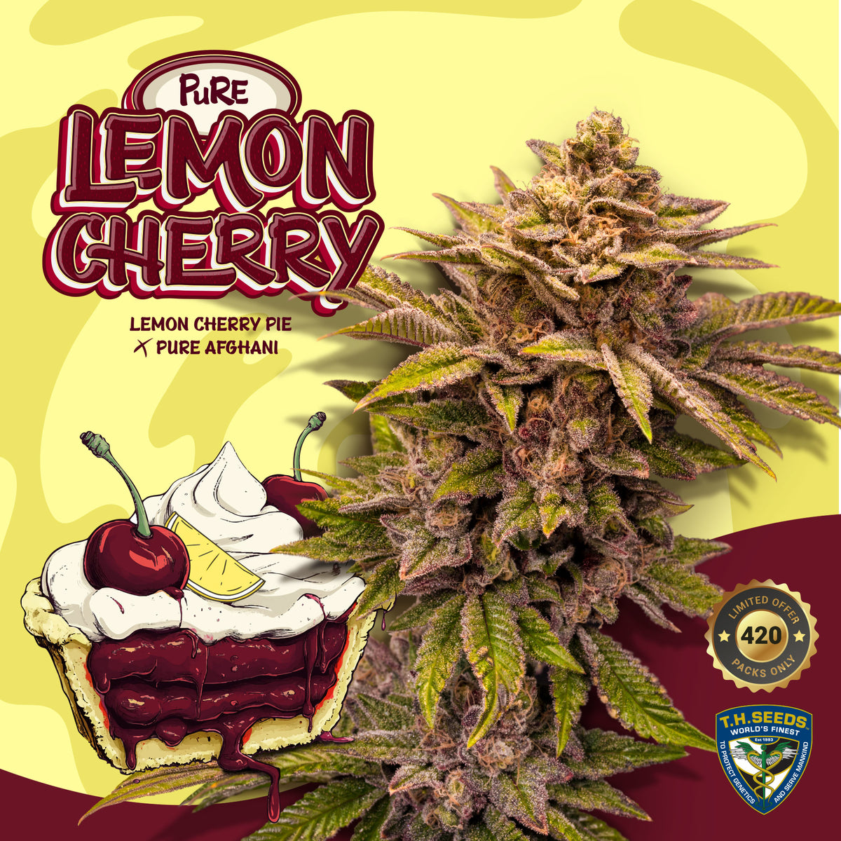 Key Pure Lemon Pure Lemon Cherry – Limited 420 Drop mit Premium Aroma – Bubbatz Seeds