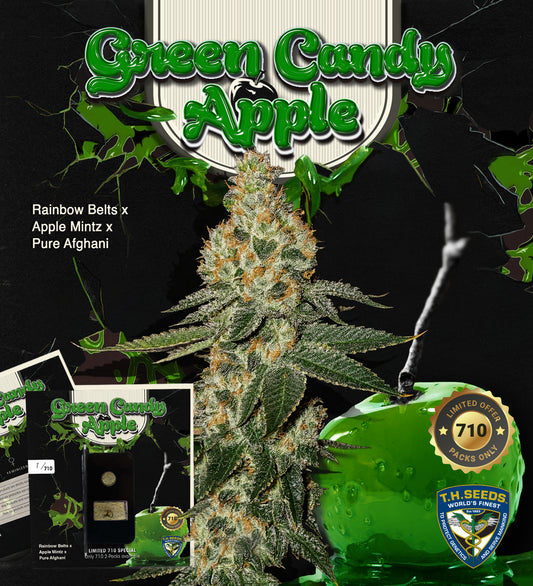 Green Candy Apple by T.H.Seeds®