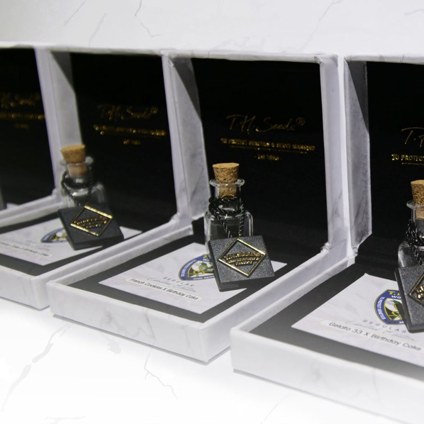 Gelato 33 X B.C. X S.C. Limited Edition Regulär (nur 50 Boxen) T.H.Seeds™