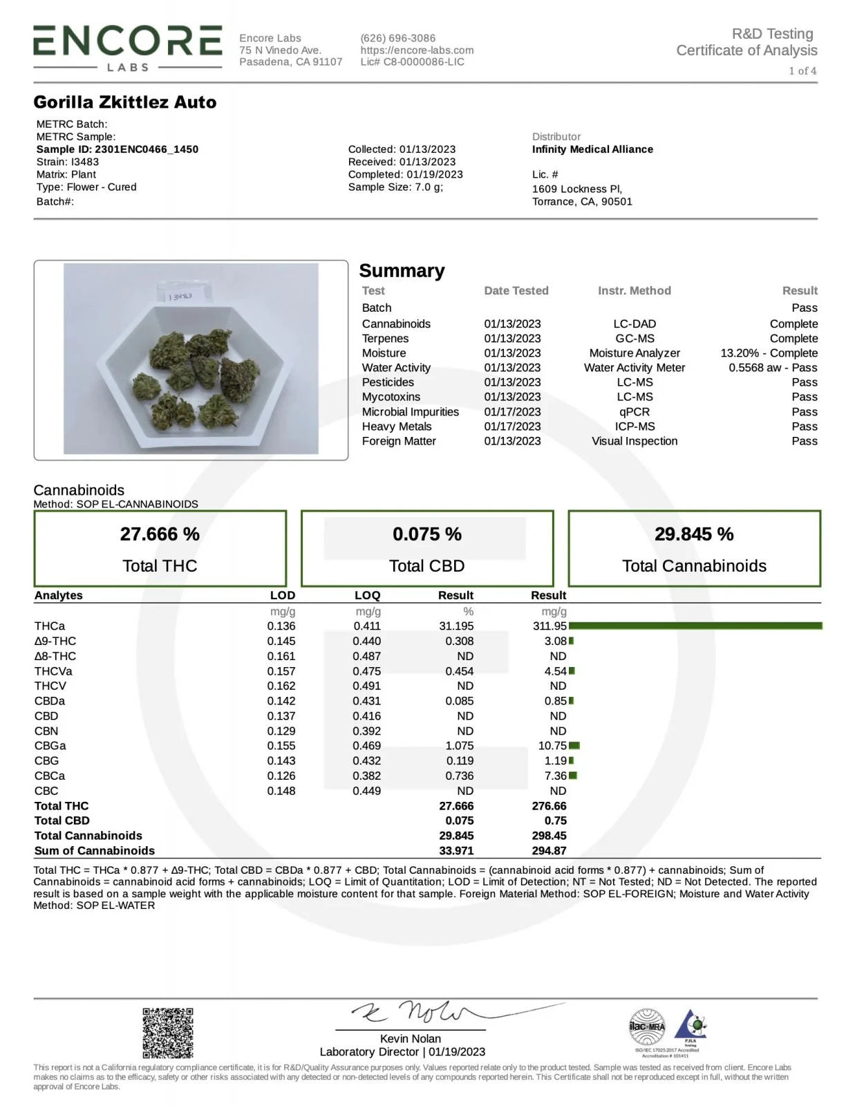 Auto Gorilla Zkittlez (Feminisiert) Fast Buds